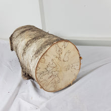 Spalted Birch Tree Trunk Stump Section - 47cm Long