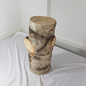 Spalted Birch Tree Trunk Stump Section - 47cm Long