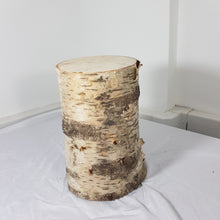 Tree Trunk Stump Section - Birch 33cm Long