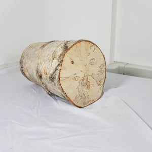 Tree Trunk Stump Section - Birch 33cm Long