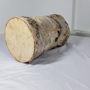 Tree Trunk Stump Section - Birch 33cm Long