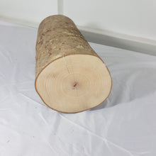 Tree Trunk Stump Section - Ash