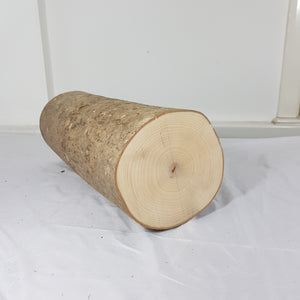 Tree Trunk Stump Section - Ash