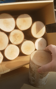 Round Logs Bundle - 12cm Long Fine Sawn One End Kiln Dried Birch
