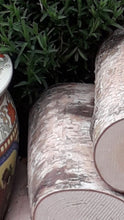 Full Round Kiln Dried Birch Logs x 5 - Fine Sawn Both Ends 22cm Long