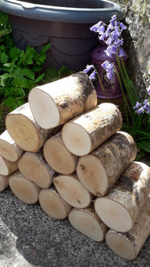 Full Round Logs - Kiln Dried Birch - 20cm Long