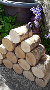 Full Round Kiln Dried Birch Logs x 5 - Fine Sawn Both Ends 22cm Long