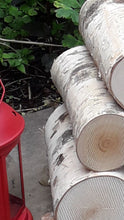 Full Round Kiln Dried Birch Logs x 5 - Fine Sawn Both Ends 22cm Long