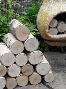 Full Round Kiln Dried Birch Logs x 5 - Fine Sawn Both Ends 22cm Long