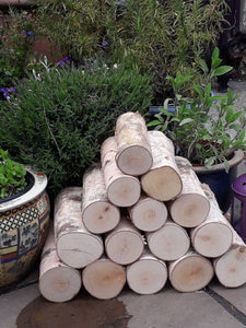 Full Round Kiln Dried Birch Logs x 5 - Fine Sawn Both Ends 22cm Long