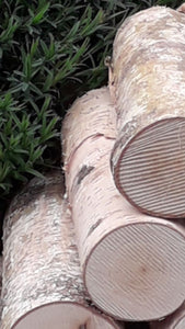 Full Round Logs - Kiln Dried Birch - 20cm Long