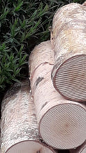 Full Round Kiln Dried Birch Logs x 5 - Fine Sawn Both Ends 22cm Long