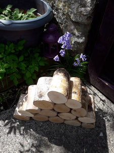 Full Round Kiln Dried Birch Logs x 5 - Fine Sawn Both Ends 22cm Long