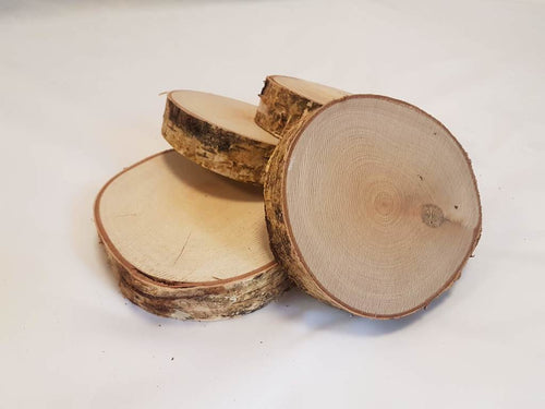 Slices - Round - Birch - Kiln Dried