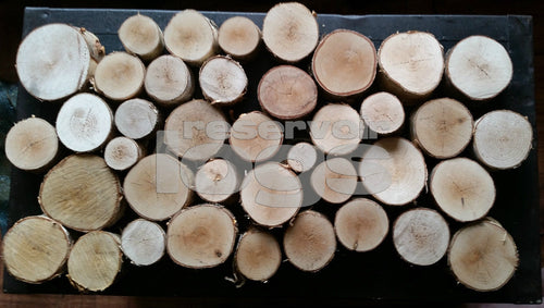 Log Slices